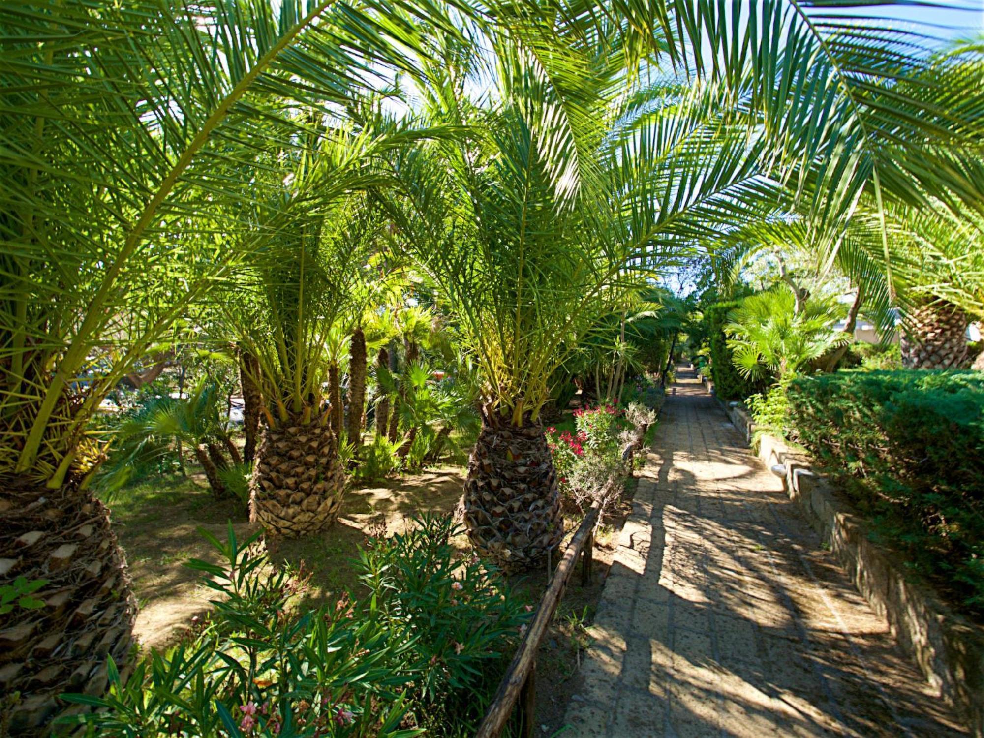 Holiday Home Twoo-Room Comfort By Interhome Castiglione della Pescaia Dış mekan fotoğraf